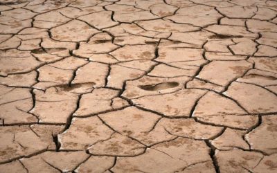 Lessons From a Dried Up Lake